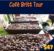 CAFE BRITT TOUR