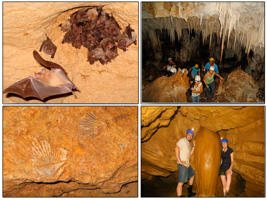 Venado Caves Costa Rica Azul Travel Tours