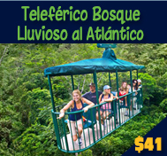 TELEFERICO BOSQUE LLUVIOSO AL ATLANTICO TOUR