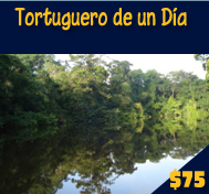 RAFTING RIO CHIRRIPO CLASE 3 Y CANOPY