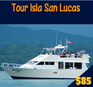 Tour Isla San Lucas