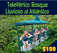 TELEFERICO BOSQUE LLUVIOSO AL ATLANTICO TOUR